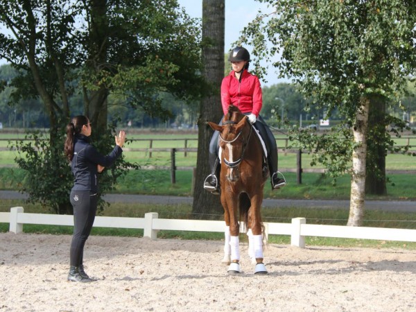 Winactie opleidingen: 'Bedank je trainer met een duoticket voor Jumping Mechelen'