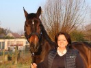 De nieuwe trainersopleidingen van Paardensport Vlaanderen