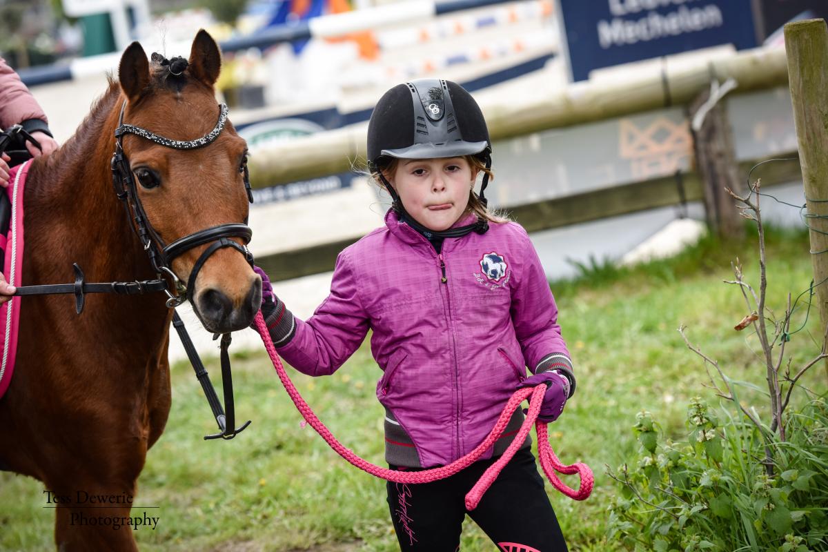 voeden Vertrek Shuraba Lidmaatschap - Vind een club - Ik wil paardrijden - Paardensport Vlaanderen