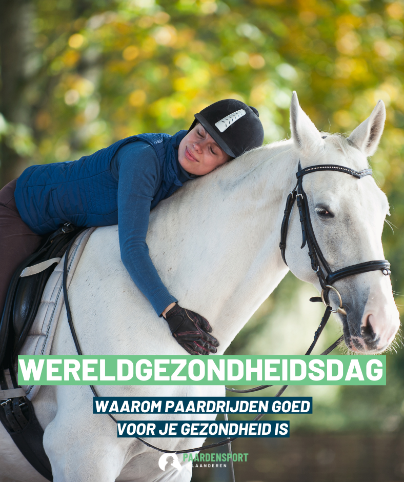 maak een foto jungle Voorwoord Algemeen: Waarom paardrijden goed voor je gezondheid is - Paardensport  Vlaanderen